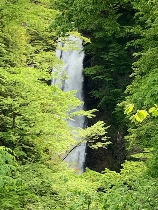 令和４年５月１５日、秋保大滝の様子です。